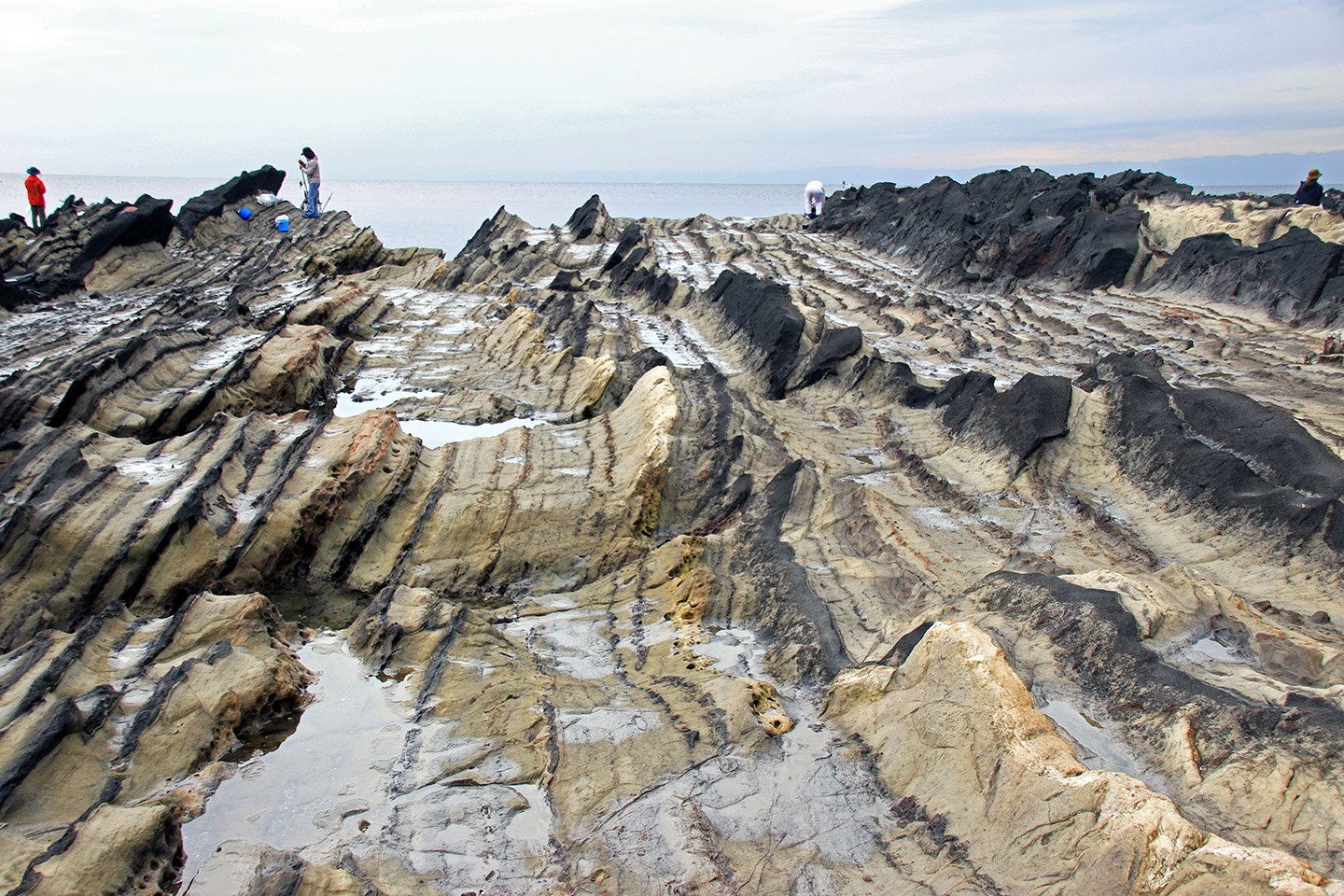 🌊 아라사키 공원(아라사키 코엔) 이미지 4